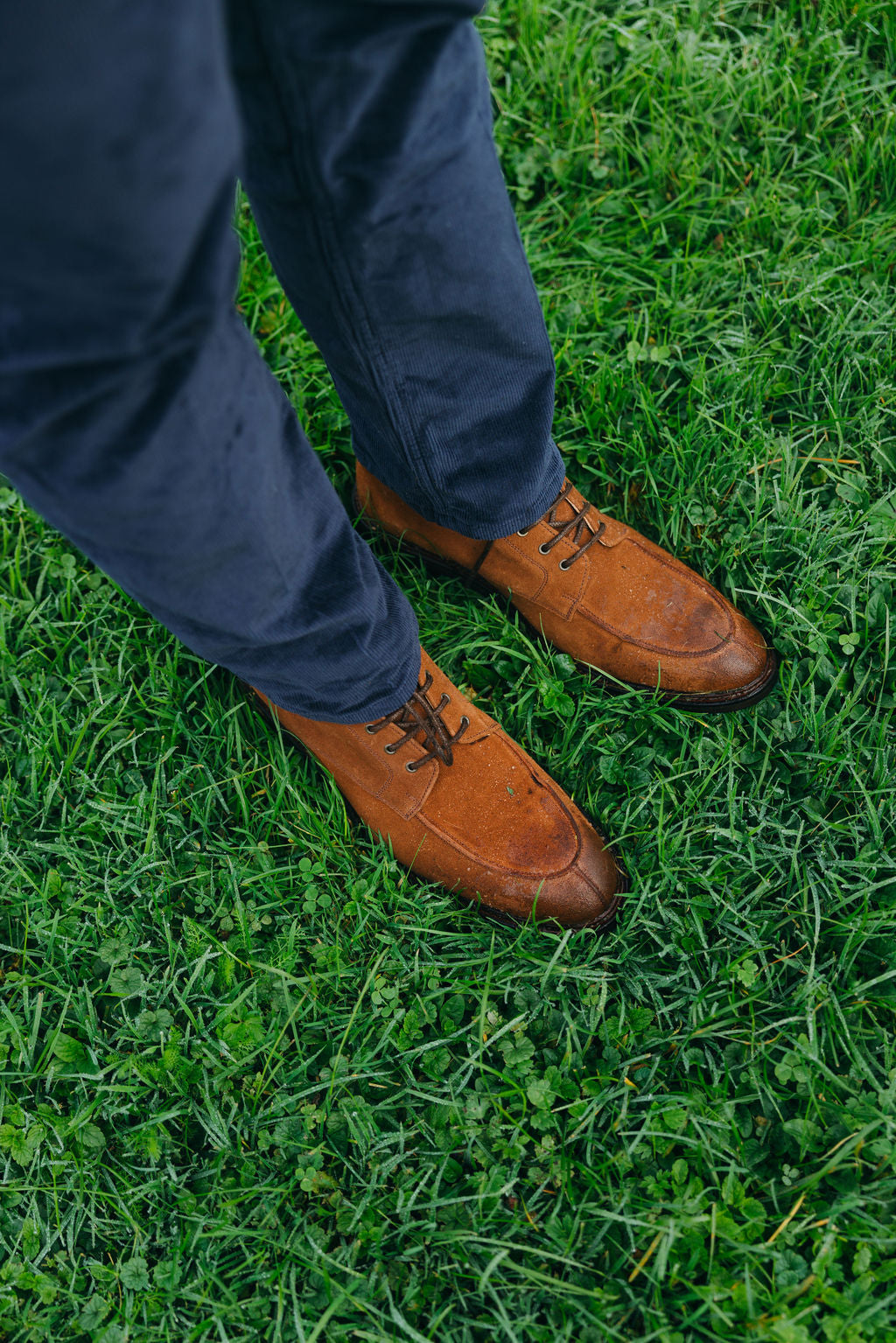 Schnürboots Suede Snuff Herren
