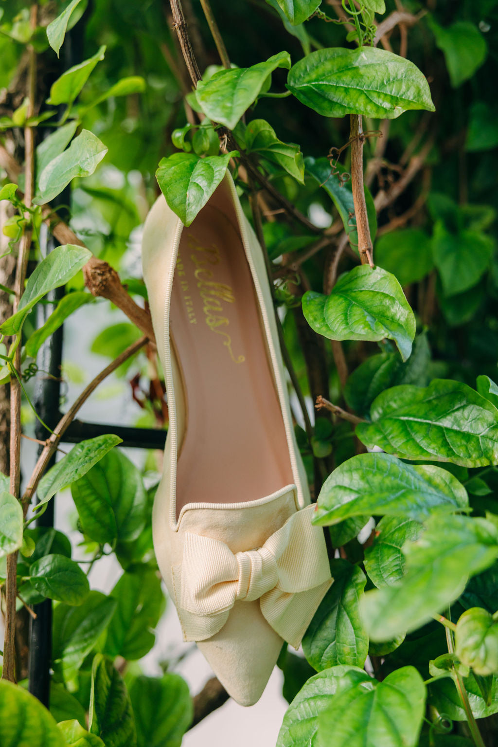 Citrus-Paglia bow loafer Pointy