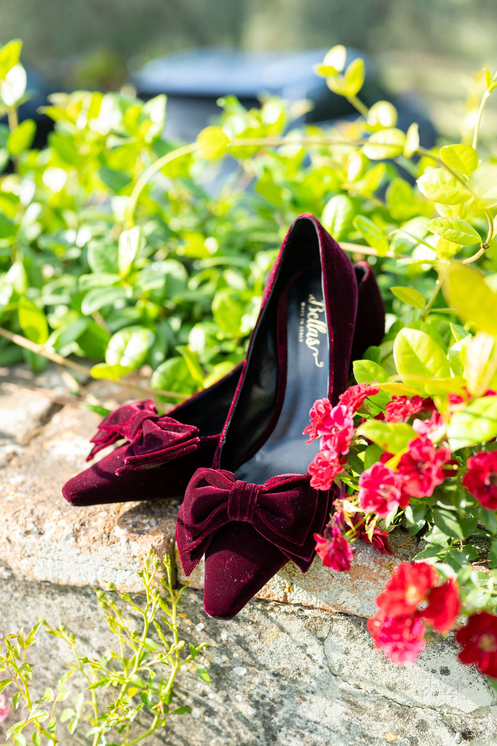 Rubino Velvet Schleifen Pumps