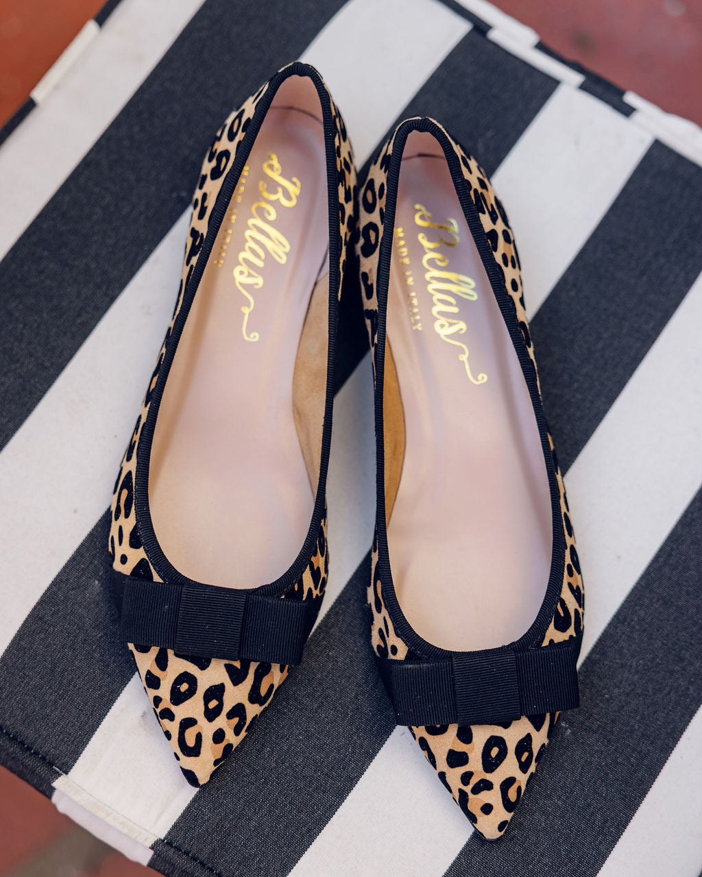 Leopardino-Nero Bowtie Pointy