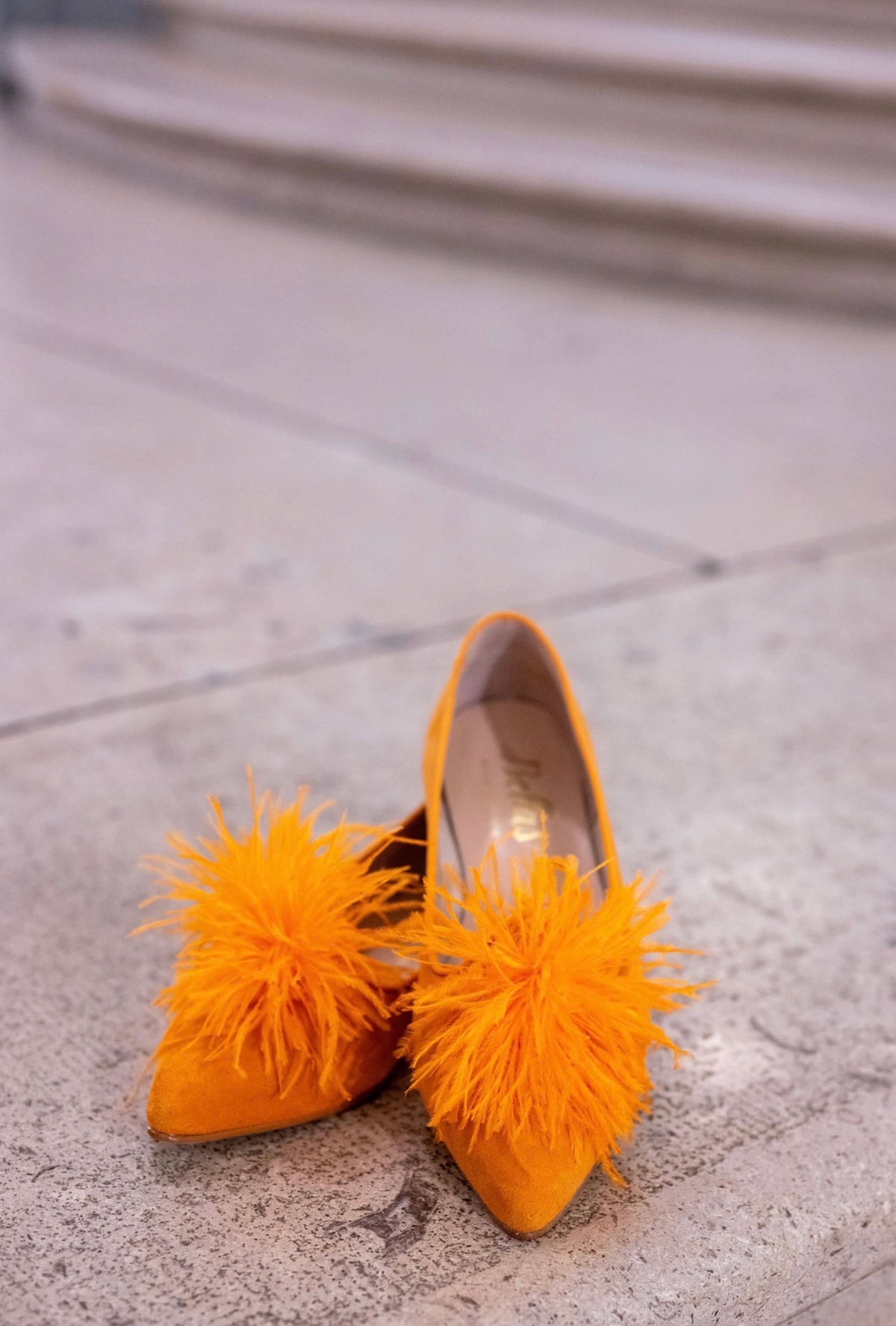 Arancio Federn Pointy