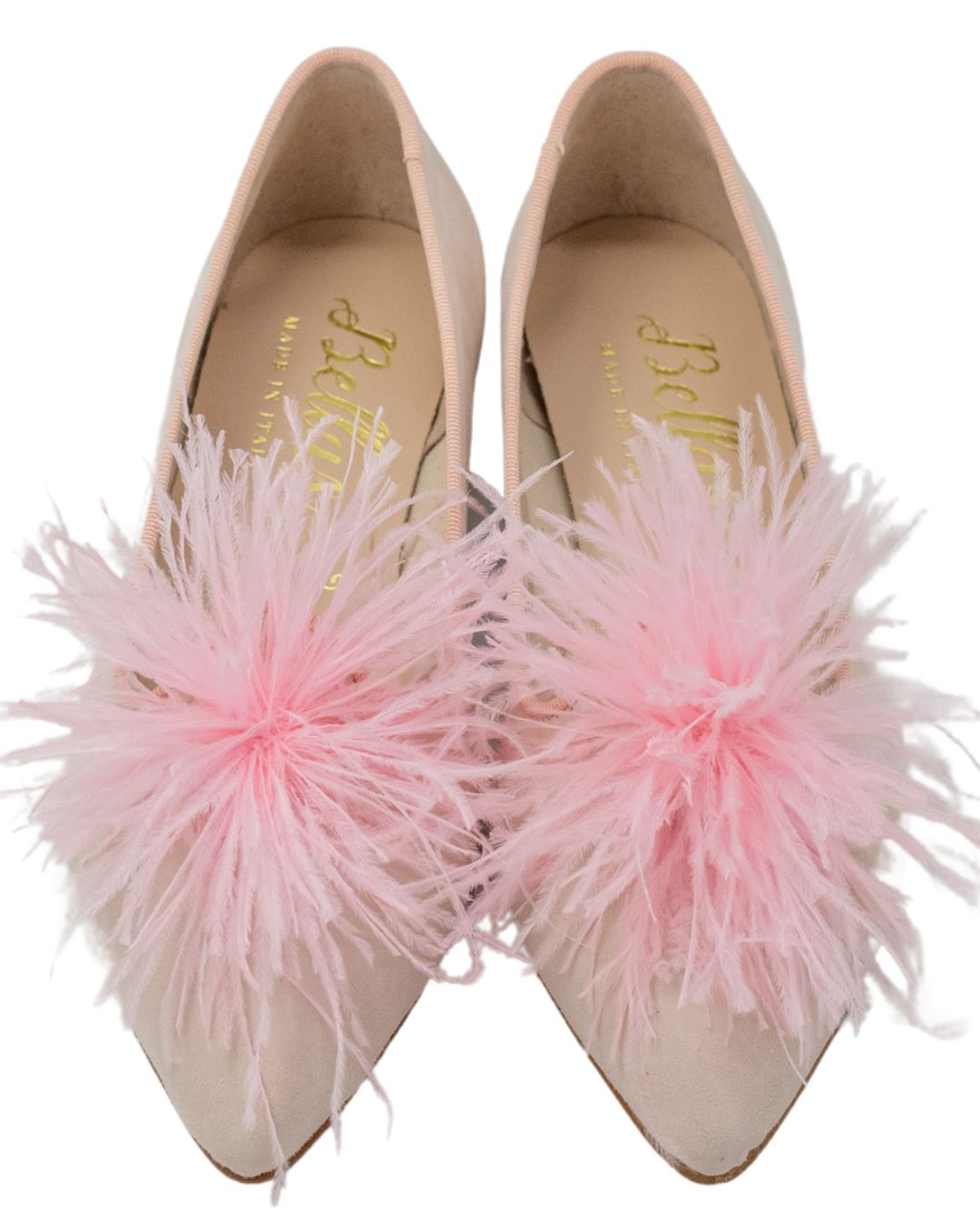 Rosa Federn Pointy