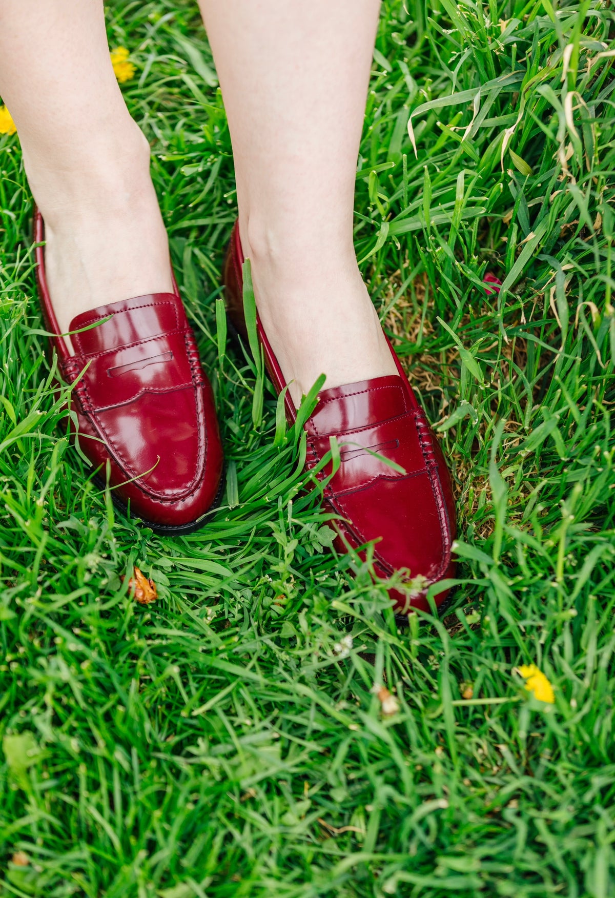 Ascot Bordo Penny Loafer