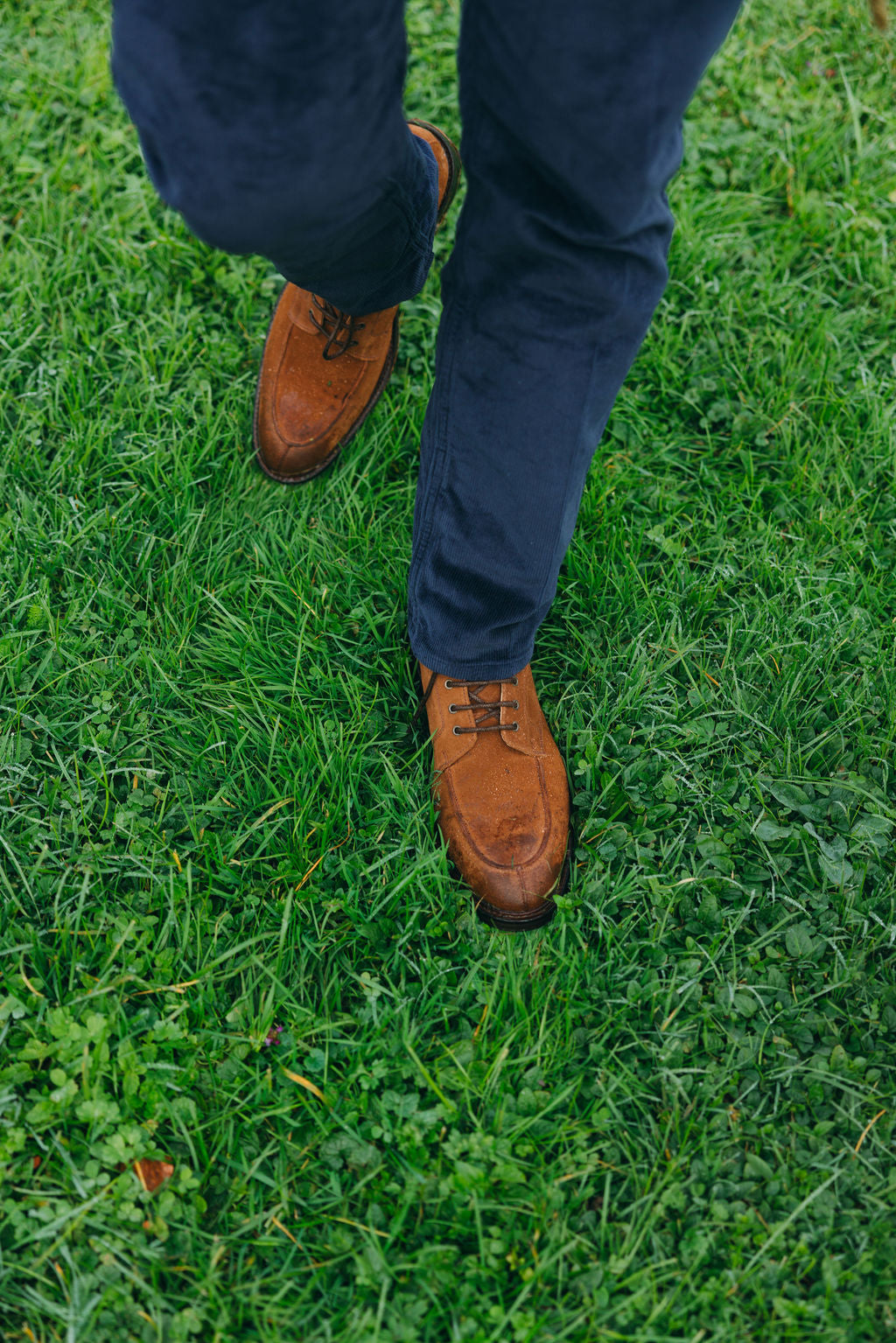 Schnürboots Suede Snuff Herren