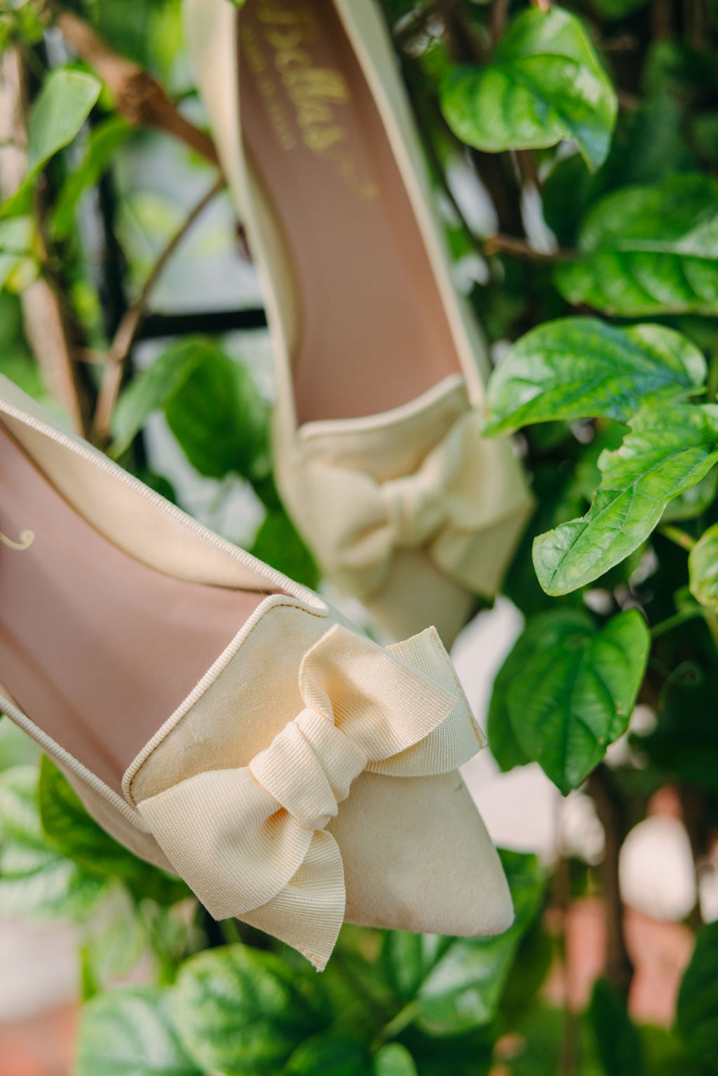 Citrus-Paglia bow loafer Pointy
