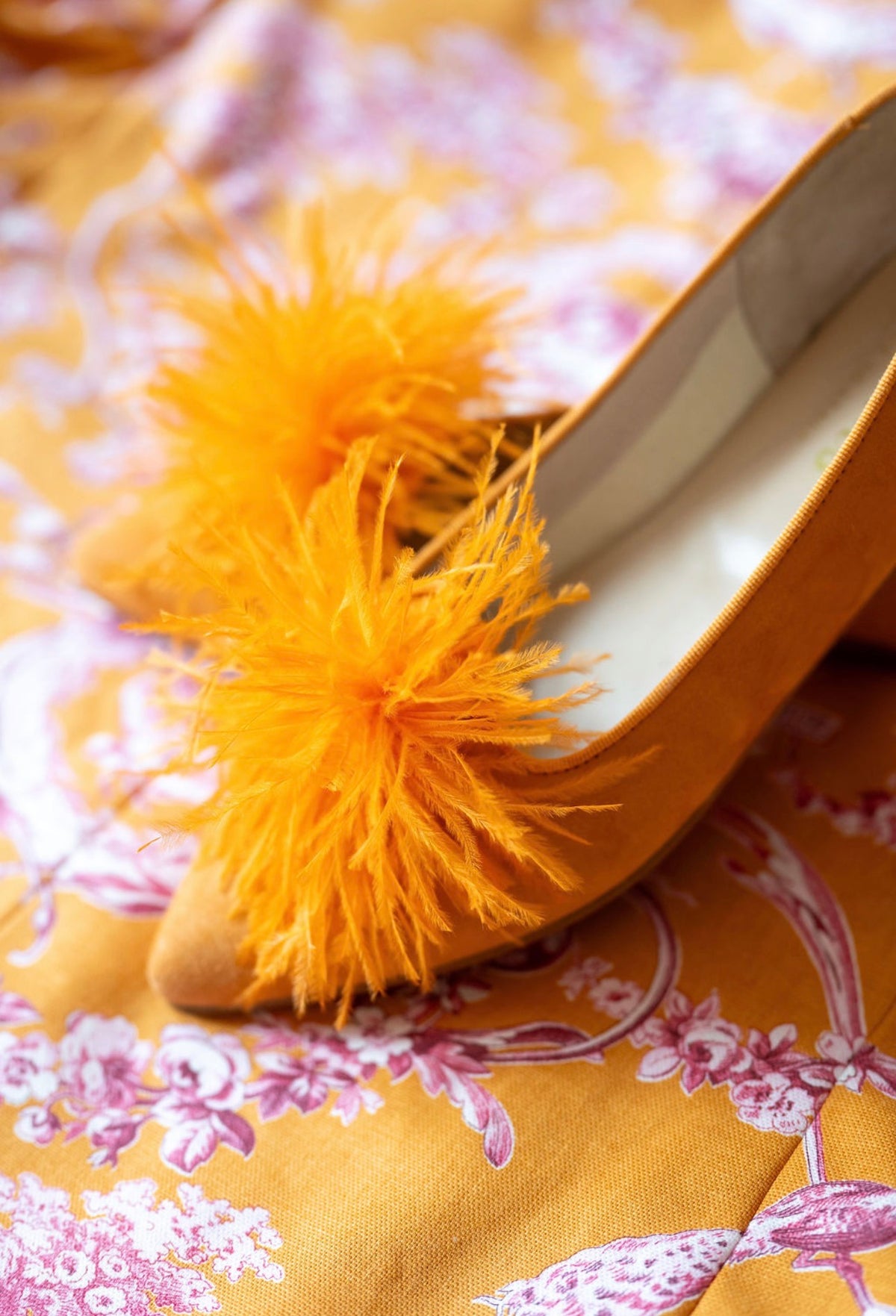 Arancio Federn Pointy